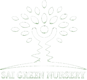 output-onlinepngtools