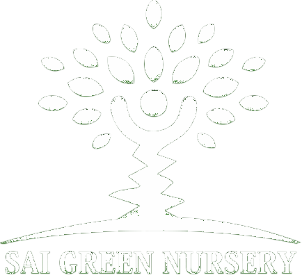 output-onlinepngtools